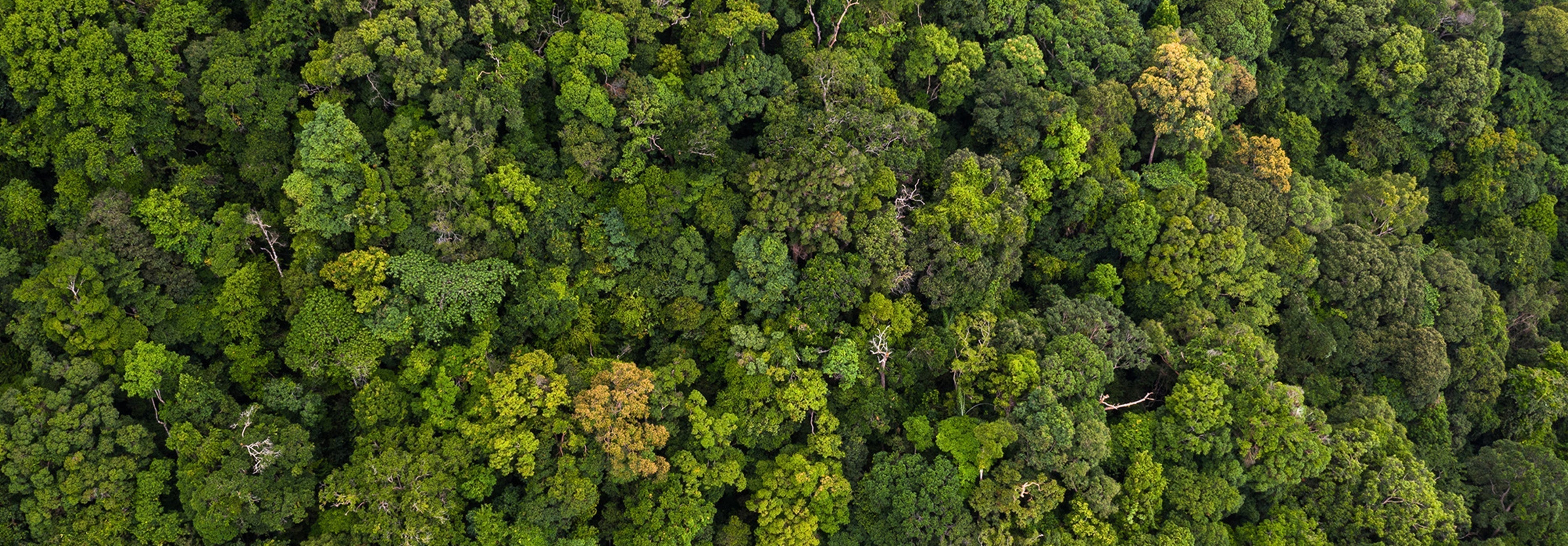 Our Power. Our Planet. – Tropic Skincare
