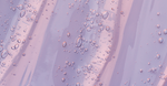Resveratrol