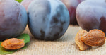 Plum Kernel Oil