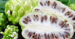 Noni Fruit Extract
