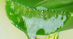 Aloe Vera Juice