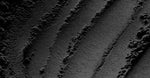 Bamboo Charcoal