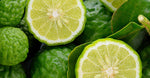 Bergamot