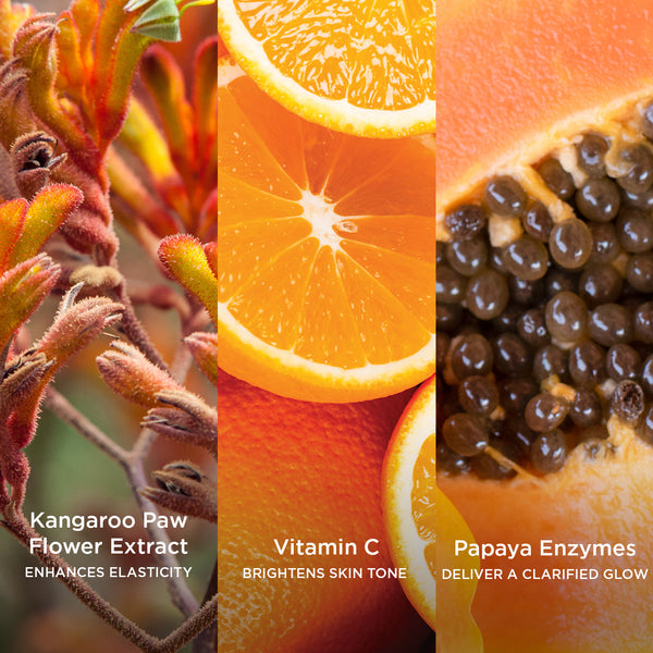 Side-by-side close-up images of natural skincare ingredients: Kangaroo Paw flower extract in warm red and orange tones labelled 'Kangaroo Paw Flower Extract – Enhances Elasticity,' sliced fresh oranges labelled 'Vitamin C – Brightens Skin Tone,' and ripe papaya with black seeds labelled 'Papaya Enzymes – Deliver a Clarified Glow.