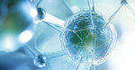 Plant Enzymes