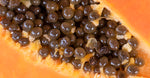 Papaya Enzymes