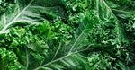 Kale and Broccoli Oils