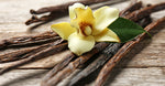 Madagascan Vanilla Extract
