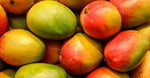Mango Butter