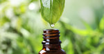 Plant Oils