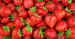 Strawberry Extract