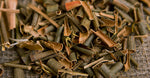 Willow Bark