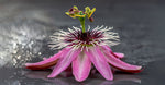 Passion Flower Oil