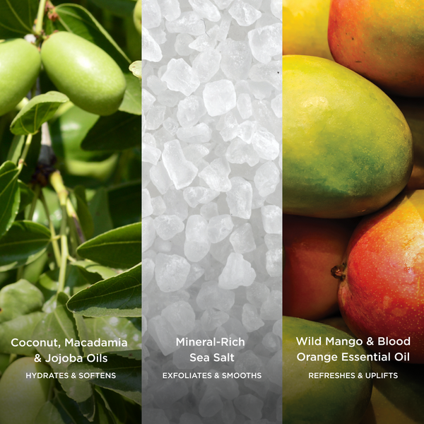 Key ingredients shown in three panels: coconut, macadamia and jojoba oils, mineral-rich sea salt, and wild mango with blood orange essential oil.