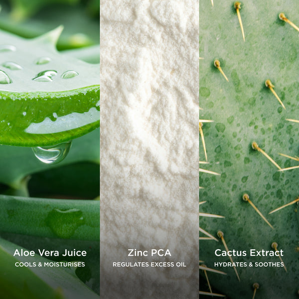 Three natural ingredients with close-up views and text labels: Aloe Vera Juice, Zinc PCA, and Cactus Extract.