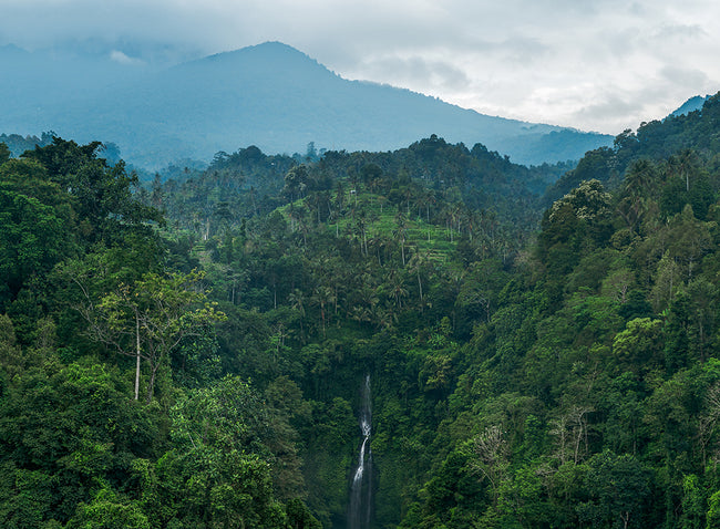 Lush tropical rainforest with dense green foliage, tall palm trees, and a waterfall cascading down the valley, set against misty blue mountains under a cloudy sky.