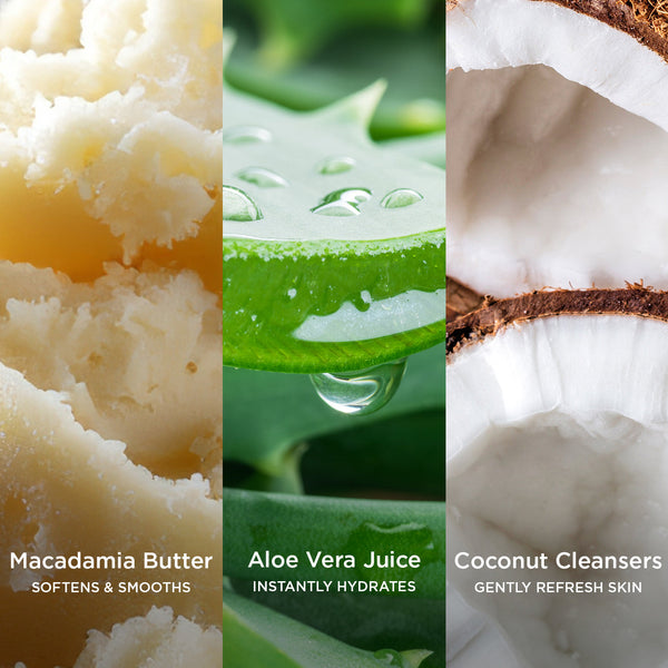 Side-by-side close-up images of natural skincare ingredients: creamy macadamia butter labelled 'Macadamia Butter – Softens & Smooths,' fresh aloe vera leaf with droplets labelled 'Aloe Vera Juice – Instantly Hydrates,' and halved coconut labelled 'Coconut Cleansers – Gently Refresh Skin.