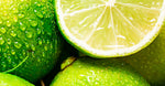 Lime Essential Oil
