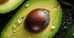Avocado Oil