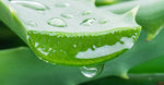 Aloe Vera Juice