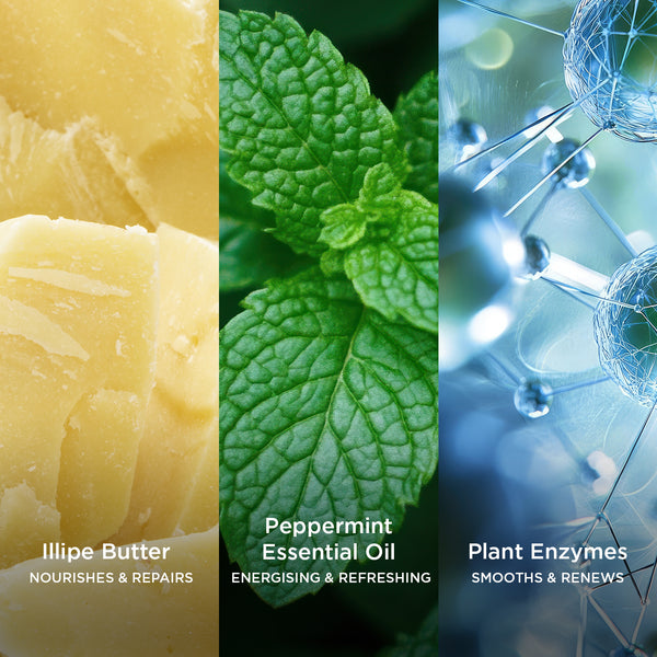 Three vertical panels showing key ingredients: on the left, chunks of yellow Illipe Butter labelled “Nourishes & Repairs”; in the centre, fresh green peppermint leaves labelled “Energising & Refreshing”; on the right, a blue-toned molecular structure labelled “Plant Enzymes – Smooths & Renews.