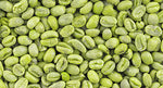 Green Coffee Extract