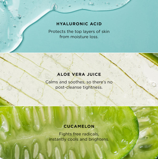 Graphic showcasing three key skincare ingredients: Hyaluronic Acid with text 'Protects the top layers of skin from moisture loss,' Aloe Vera Juice with text 'Calms and soothes, so there’s no post-cleanse tightness,' and Cucamelon with text 'Fights free radicals, instantly cools and brightens,' each paired with a close-up image of the ingredient.