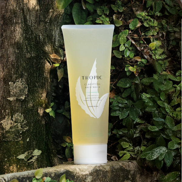 Clarifying Hair Cleanser contains aloe vera, babassu extract and coconut-derived cleansers.
See through bottle with a yellow hue. There is a small leaf design on white on the bottle.
It rests against a tree and leafy background. 