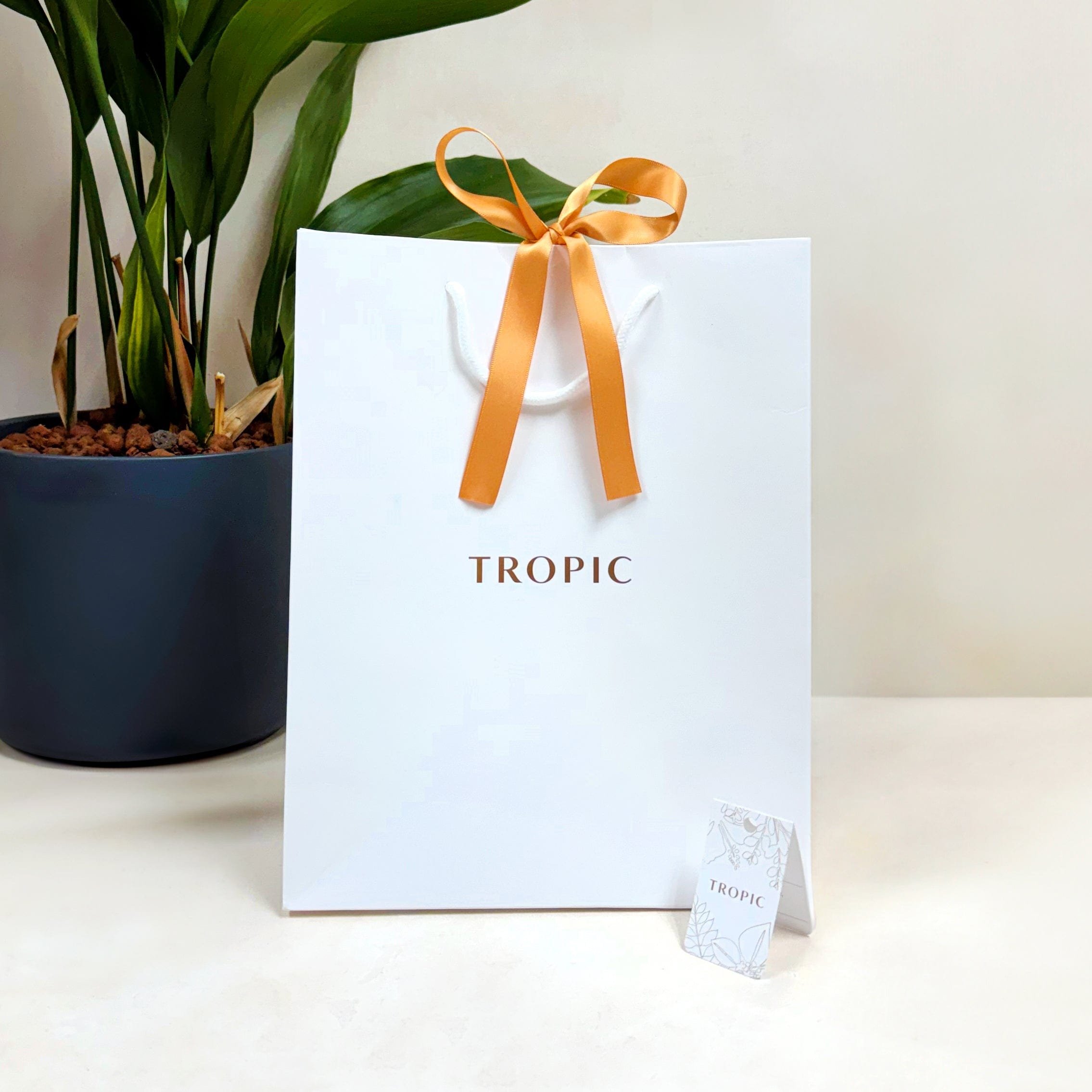 Mother's Day Tropic Gift Bag – Tropic Skincare