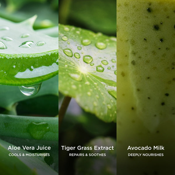 Morning Mist Soothing Toning Essence