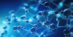Plant Peptides 