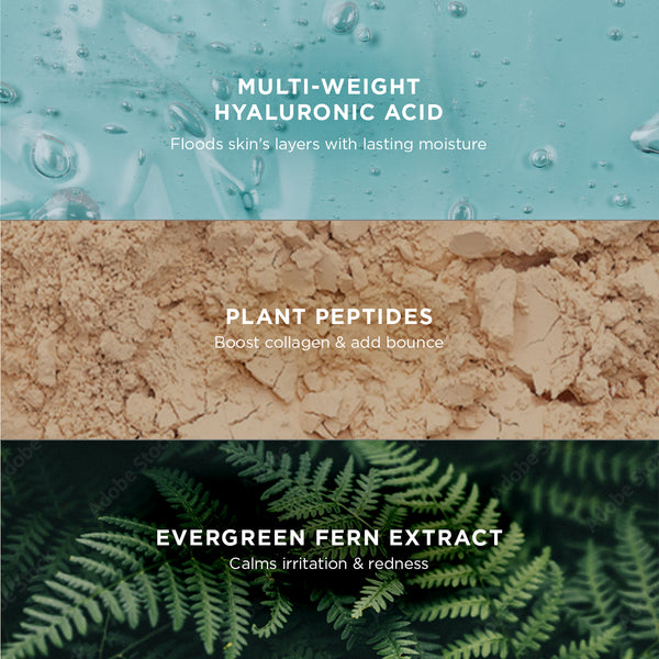 hree ingredient panels showcasing textures and benefits: hyaluronic acid gel for moisture, plant peptides powder for collagen boost, and evergreen fern extract leaves for calming irritation.