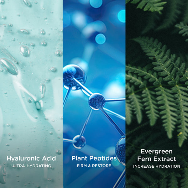Close-up texture image split into three vertical panels: a smooth gel texture with visible bubbles labelled “Hyaluronic Acid – Ultra-Hydrating”, a blue molecular structure visual labelled “Plant Peptides – Firm & Restore”, and deep green fern leaves labelled “Evergreen Fern Extract – Increase Hydration”.