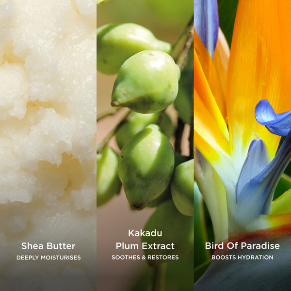 Skin Feast Nourishing Moisturiser