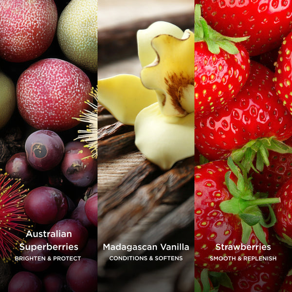 Ingredient collage divided into three vertical panels. The left panel shows Australian superberries with the text: “Australian Superberries – Brighten & Protect.” The centre panel features Madagascan vanilla flowers and vanilla pods with the text: “Madagascan Vanilla – Conditions & Softens.” The right panel displays fresh strawberries with the text: “Strawberries – Smooth & Replenish.”