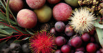 Australian Superberries