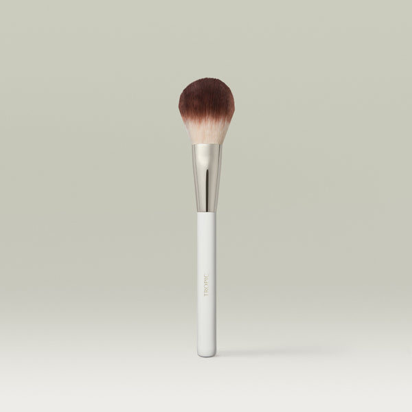powder makeup brush