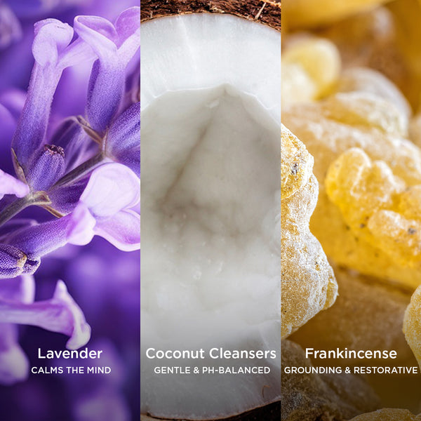 Three-panel ingredient image showing purple lavender flowers labelled “Lavender calms the mind”, a fresh-cut coconut labelled “Coconut cleansers gentle & pH-balanced”, and golden frankincense resin labelled “Frankincense grounding & restorative”.
