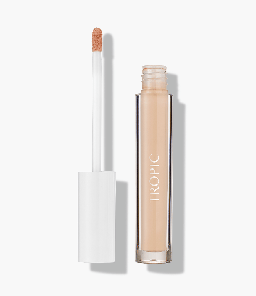 Lip concealer online
